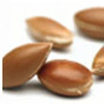 100 Ml Argan Oil Hair Serum