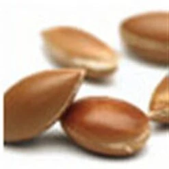 20 LT Argan Oil Hair Serum