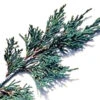 1 Kg Juniper Leaf Essential Oil