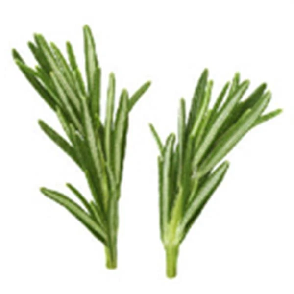 6 Ml Rosemary Essential Oil - Tunisian Type 2 6 Ml Rosemary Essential Oil - Tunisian Type